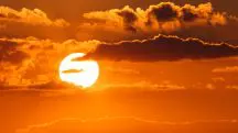 Calor
