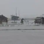 Pessoas caminham por fazendas de camarão e caranguejo, inundadas por causa das fortes chuvas, enquanto o ciclone Remal passa por em Satkhira, Bangladesh - 27/5/2024 | Mohammad Ponir Hossain/Reuters