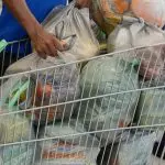 Índice do consumidor, supermercado Brasil