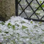 Granizo em chão de rua depois de chuva
