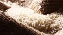 Governo Lula arroz