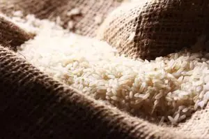 Governo Lula arroz