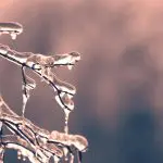 O Sul do Brasil receberá uma massa maior de ar frio no inverno