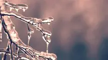 O Sul do Brasil receberá uma massa maior de ar frio no inverno