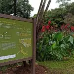 Jardim de Chuva em Belo Horizonte