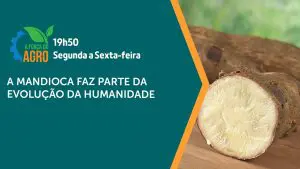 Assista à íntegra de mais uma edição de A Força do Agro | Foto: Divulgação/Revista Oeste