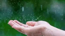 Na primeira semana, entre os dias 6 e 13 de maio, ocorrerá grandes acumulados de chuva no Norte do país. Isso se deve à combinação de calor e alta umidade | Foto: Tawatchai07/Freepik