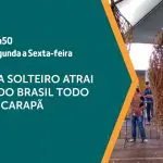 O Pé de Soja Solteiro é assunto no programa A Força do Agro desta quinta-feira, 9 | Foto: Reprodução/YouTube/Revista Oeste