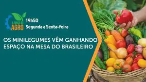 Os minilegumes são o tema de A Força do Agro desta quarta-feira, 8 | Foto: Reprodução/YouTube/Revista Oeste