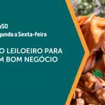 O programa A Força do Agro vai ao ar de segunda a sexta, às 19h50 | Foto: YouTube/Revista Oeste