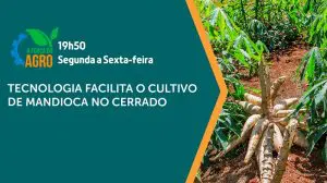 a força do agro 212 02052024 - mandioca