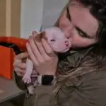 Voluntária do abrigo de animais resgatados com um filhote de cachorro