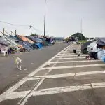 Pessoas acampadas às margens da Freeway, próxima à Arena do Grêmio, em Porto Alegre - 16/5/24 | Foto: Patrícia Coelho/PMPA