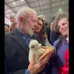 lula