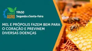 programa A Força do Agro, com a chamada 'Mel e própolis fazem bem para o coração e previnem diversas doenças'. Ao fundo, imagem meramente ilustrativa de mel
