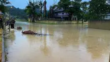 Chuvas intensas causam enchentes em Rio do Sul, Santa Catarina | Foto: Divulgação/Defesa Civil