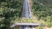 rodovia tamoios são paulo - passagem é para evitar atropelamento de animais