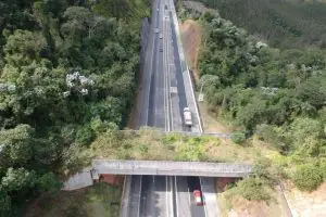 rodovia tamoios são paulo - passagem é para evitar atropelamento de animais