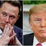 elon musk vai fazer live com donald trump