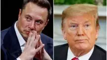 elon musk vai fazer live com donald trump