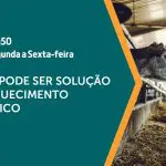 A pecuária é assunto em A Força do Agro | Foto: Divulgação/Revista Oeste