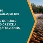 A produção nacional de peixes de cultivo aumento no país | Foto: Divulgação/Revista Oeste