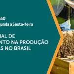 A criação de abelhas é assunto em A Força do Agro | Foto: Divulgação/Revista Oeste