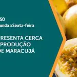 O maracujá é assunto em A Força do Agro | Foto: Divulgação/Revista Oeste