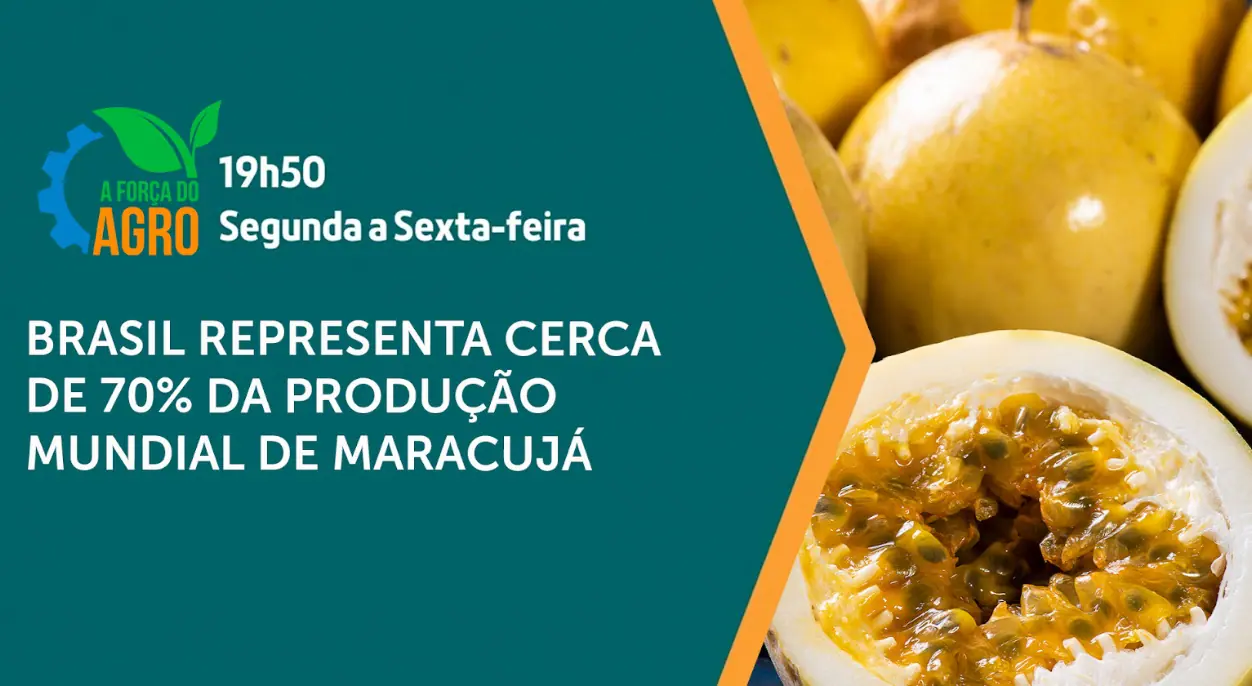 O maracujá é assunto em A Força do Agro | Foto: Divulgação/Revista Oeste