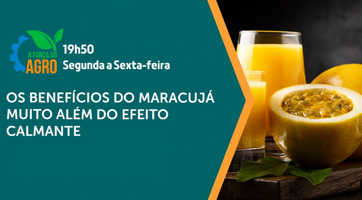 O maracujá volta a ser assunto em A Força do Agro | Foto: Divulgação/Revista Oeste