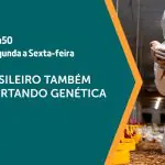 A exportação de genética é assunto em A Força do Agro | Foto: Divulgação/Revista Oeste