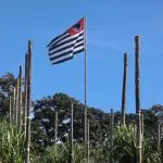 Agronegócio paulista: bandeira do Estado de São Paulo em meio a uma plantação