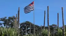 Agronegócio paulista: bandeira do Estado de São Paulo em meio a uma plantação