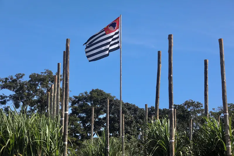 Agronegócio paulista: bandeira do Estado de São Paulo em meio a uma plantação