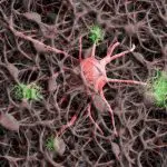Alzheimer atinge as células nervosas do cérebro