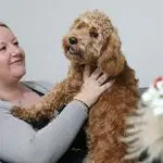 O caso foi divulgado no Facebook, pelo hospital veterinário que cuidou de Arthur, o cachorro | Foto: Reprodução/Facebook