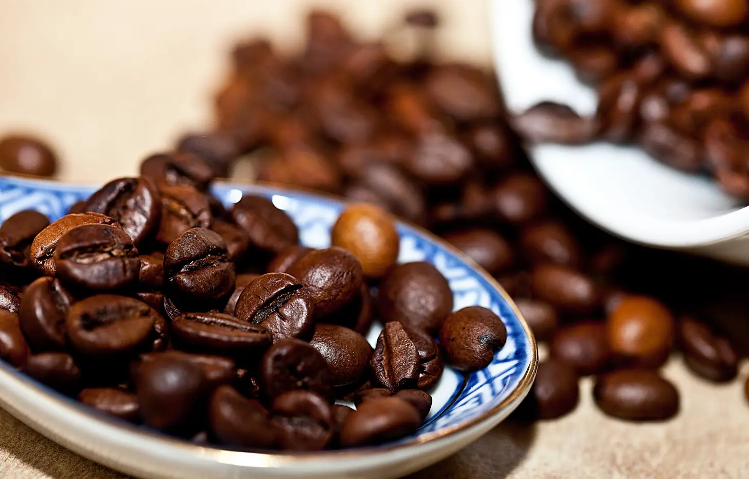 Foto: Reprodução/Freepik