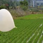 Novo balão foi enviado à Coreia do Sul pela Coreia no Norte | Foto: Reprodução/Twitter/X/@folhape