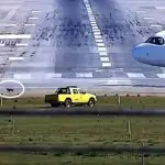 Cachorro invade pista de aeroporto de Guarulhos