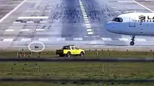Cachorro invade pista de aeroporto de Guarulhos