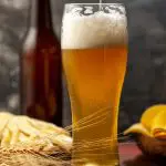 Quanto mais o brasileiro degusta da cerveja, mas contribuição ele dá para a economia, além de gerar empregos e renda