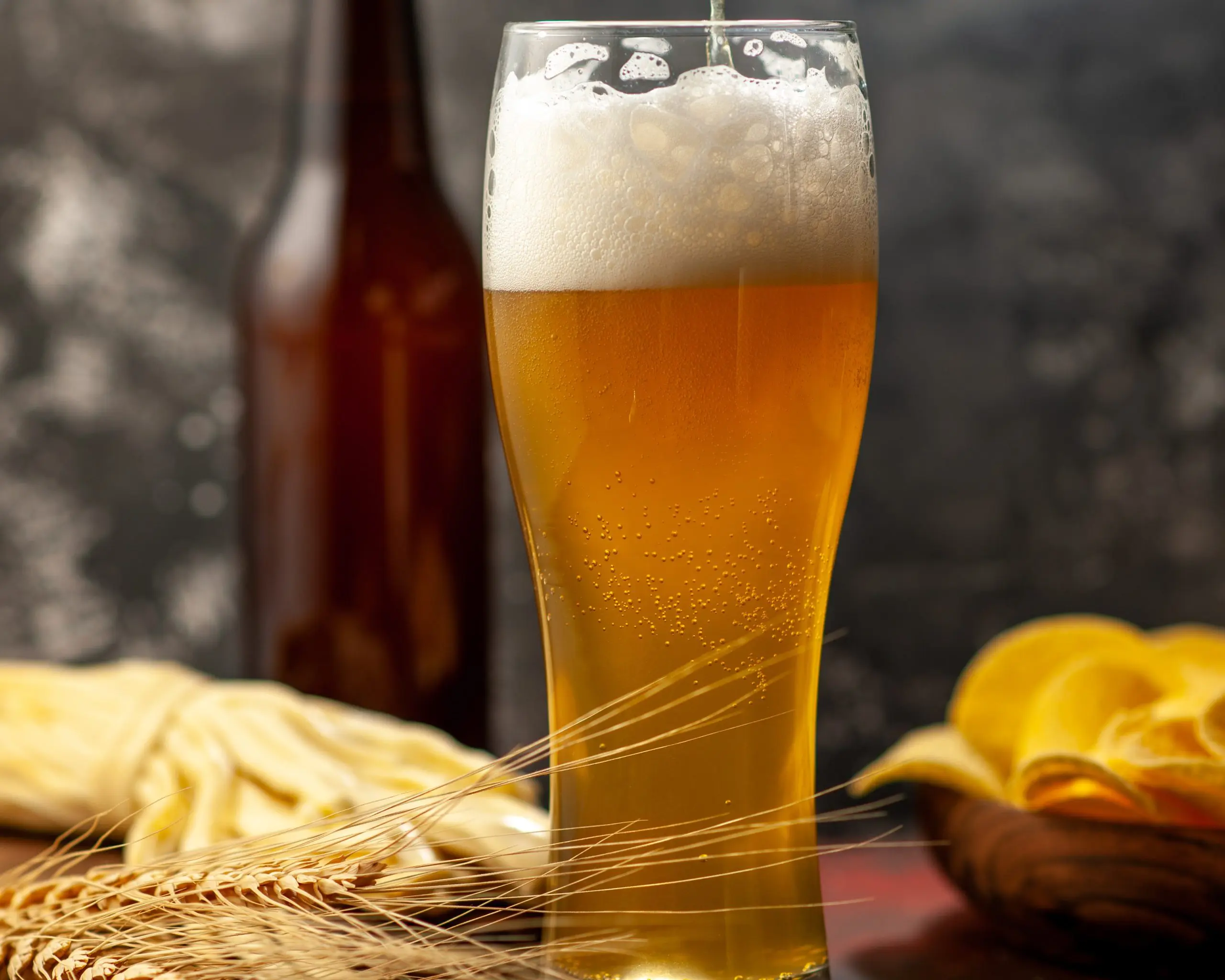 Quanto mais o brasileiro degusta da cerveja, mas contribuição ele dá para a economia, além de gerar empregos e renda