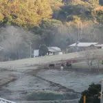 Geada em Iporã do Oeste, em Santa Catarina