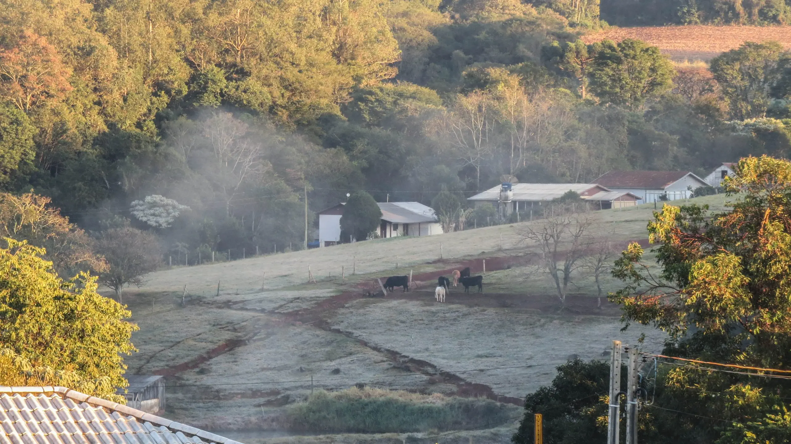 Geada em Iporã do Oeste, em Santa Catarina
