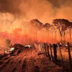 Incêndio no Pantanal em Mato Grosso do Sul