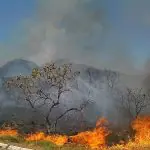 Na imagem, é possível ver um grande incêndio no cerrado brasileiro