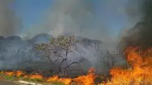 Na imagem, é possível ver um grande incêndio no cerrado brasileiro
