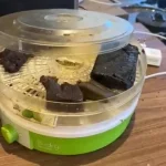 Dise descobre fábrica da maconha dos playboys