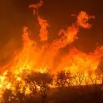 Em relação ao mesmo período do ano passado, 2024 registra alta de 76% no número de incêndios na Amazônia | Foto: Reprodução/Flickr