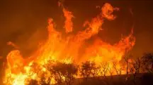 Em relação ao mesmo período do ano passado, 2024 registra alta de 76% no número de incêndios na Amazônia | Foto: Reprodução/Flickr